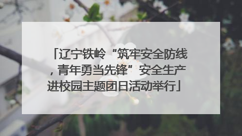 辽宁铁岭“筑牢安全防线，青年勇当先锋”安全生产进校园主题团日活动举行