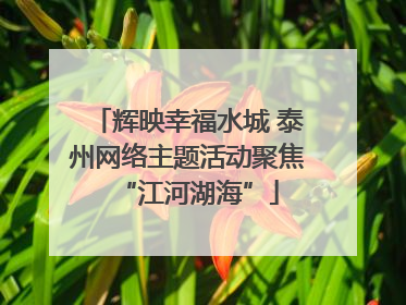 辉映幸福水城 泰州网络主题活动聚焦“江河湖海”
