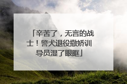 辛苦了，无言的战士！警犬退役撒娇训导员湿了眼眶