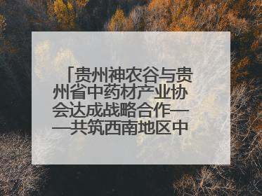 贵州神农谷与贵州省中药材产业协会达成战略合作——共筑西南地区中医药产业新生态