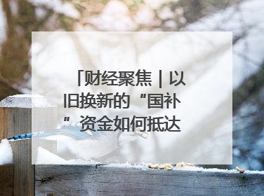 财经聚焦｜以旧换新的“国补”资金如何抵达消费者？
