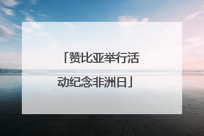 赞比亚举行活动纪念非洲日