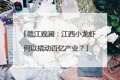 赣江观澜：江西小龙虾何以撬动百亿产业？