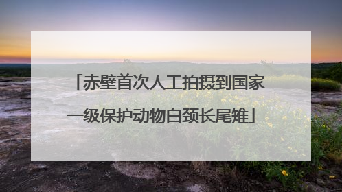 赤壁首次人工拍摄到国家一级保护动物白颈长尾雉