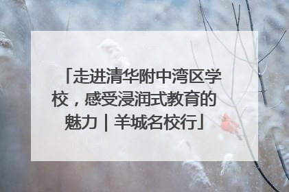 走进清华附中湾区学校，感受浸润式教育的魅力｜羊城名校行