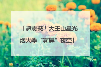超震撼！大王山星光烟火季“霸屏”夜空