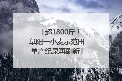 超1800斤！阜阳一小麦示范田单产纪录再刷新