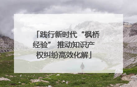 践行新时代“枫桥经验” 推动知识产权纠纷高效化解