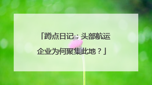 蹲点日记：头部航运企业为何聚集此地？