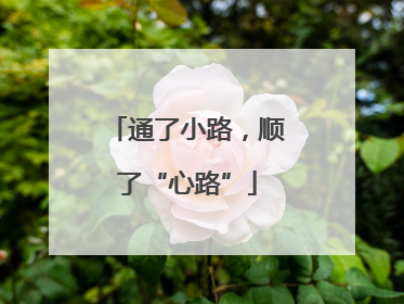 通了小路，顺了“心路”