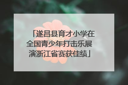 遂昌县育才小学在全国青少年打击乐展演浙江省赛获佳绩