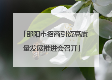 邵阳市招商引资高质量发展推进会召开