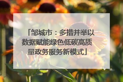 邹城市：多措并举以数据赋能绿色低碳高质量政务服务新模式