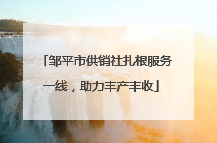 邹平市供销社扎根服务一线，助力丰产丰收