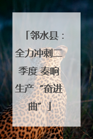 邻水县：全力冲刺二季度 奏响生产“奋进曲”