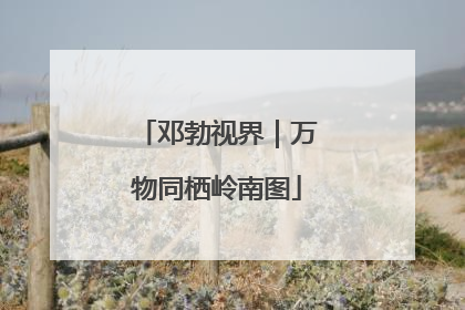 邓勃视界｜万物同栖岭南图