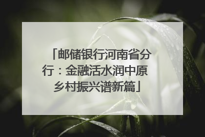 邮储银行河南省分行：金融活水润中原 乡村振兴谱新篇