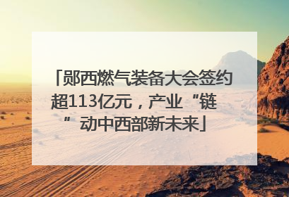 郧西燃气装备大会签约超113亿元，产业“链”动中西部新未来