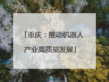 重庆：推动机器人产业高质量发展