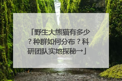 野生大熊猫有多少？种群如何分布？科研团队实地探秘→