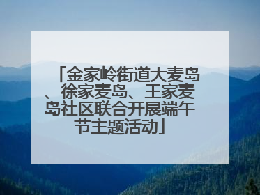 金家岭街道大麦岛、徐家麦岛、王家麦岛社区联合开展端午节主题活动