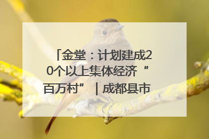 金堂：计划建成20个以上集体经济“百万村”｜成都县市新城高质量发展