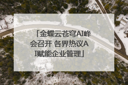 金蝶云苍穹AI峰会召开 各界热议AI赋能企业管理