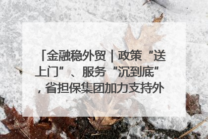 金融稳外贸｜政策“送上门”、服务“沉到底”，省担保集团加力支持外经贸高质量发展