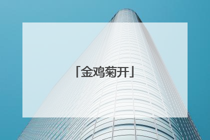 金鸡菊开
