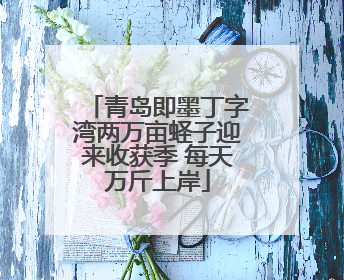 青岛即墨丁字湾两万亩蛏子迎来收获季 每天万斤上岸