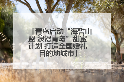 青岛启动“海誓山盟 浪漫青岛”甜蜜计划 打造全国婚礼目的地城市
