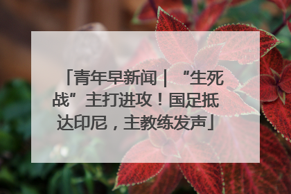 青年早新闻｜“生死战”主打进攻！国足抵达印尼，主教练发声