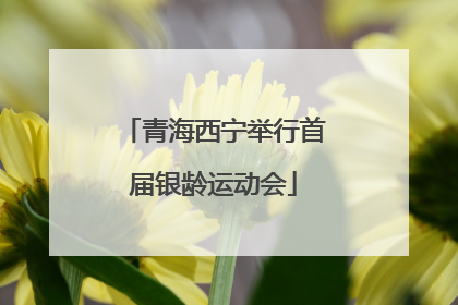 青海西宁举行首届银龄运动会