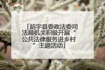 靖宇县委政法委司法局机关积极开展“公共法律服务进乡村”主题活动