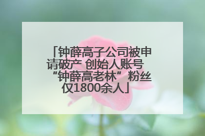 钟薛高子公司被申请破产 创始人账号“钟薛高老林”粉丝仅1800余人