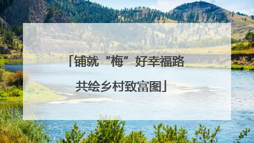 铺就“梅”好幸福路 共绘乡村致富图