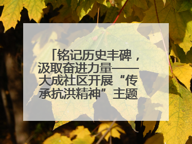 铭记历史丰碑，汲取奋进力量——大成社区开展“传承抗洪精神”主题党日活动