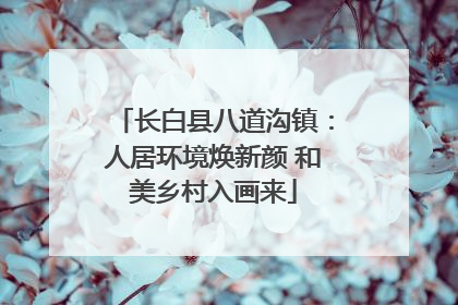 长白县八道沟镇：人居环境焕新颜 和美乡村入画来