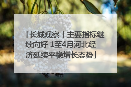 长城观察丨主要指标继续向好 1至4月河北经济延续平稳增长态势