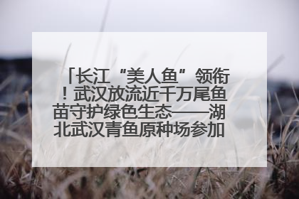 长江“美人鱼”领衔！武汉放流近千万尾鱼苗守护绿色生态——湖北武汉青鱼原种场参加2025年“全国放鱼日”增殖放流活动