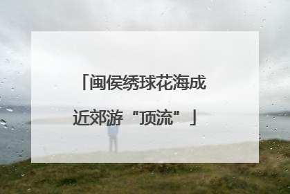 闽侯绣球花海成近郊游“顶流”