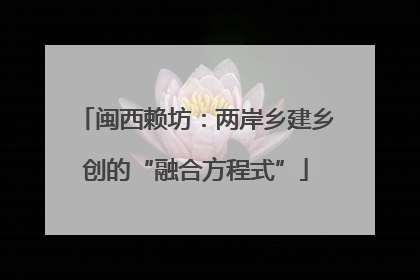 闽西赖坊：两岸乡建乡创的“融合方程式”