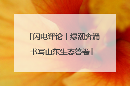 闪电评论丨绿潮奔涌 书写山东生态答卷