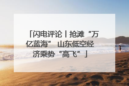 闪电评论丨抢滩“万亿蓝海” 山东低空经济乘势“高飞”