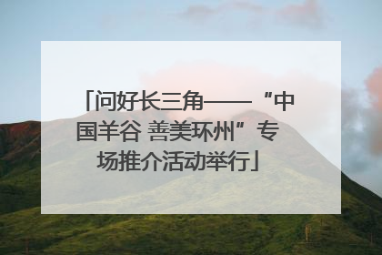 问好长三角——“中国羊谷 善美环州”专场推介活动举行