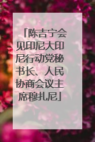 陈吉宁会见印尼大印尼行动党秘书长、人民协商会议主席穆扎尼