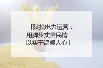 陕投电力运营：用脚步丈量民情 以实干温暖人心