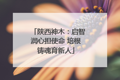 陕西神木：启智润心担使命 培根铸魂育新人