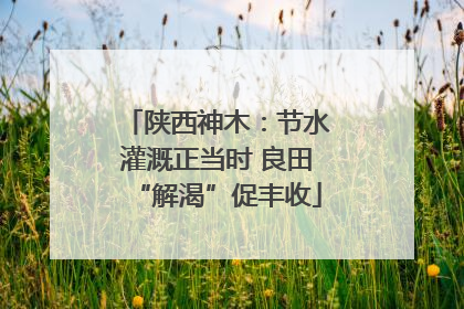 陕西神木：节水灌溉正当时 良田“解渴”促丰收