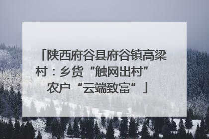 陕西府谷县府谷镇高梁村：乡货“触网出村” 农户“云端致富”